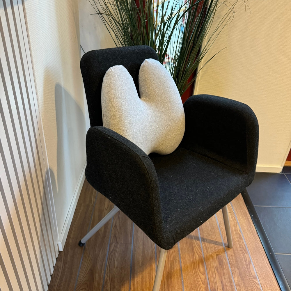 Zitiva RugComfort™ Lendensteun Kussen